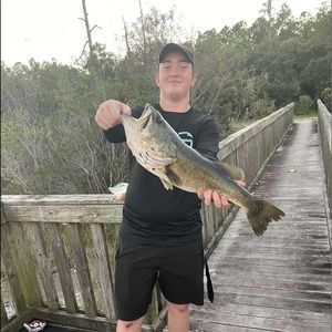 Meet your Posher, Gordon